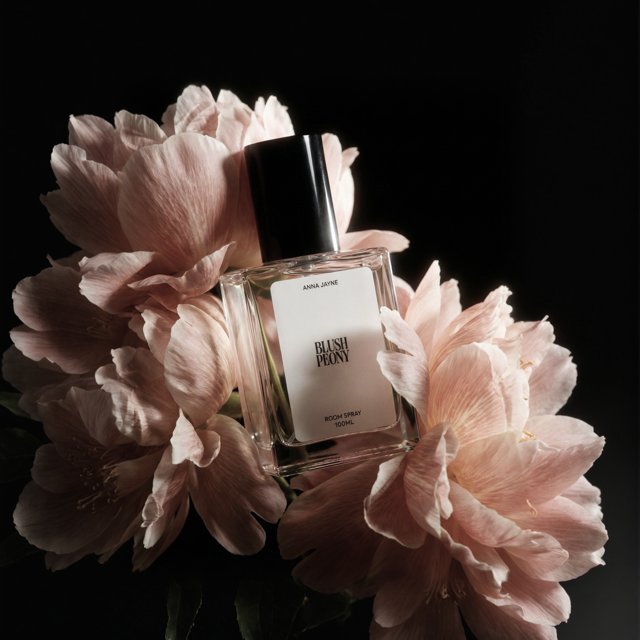 Blush Peony