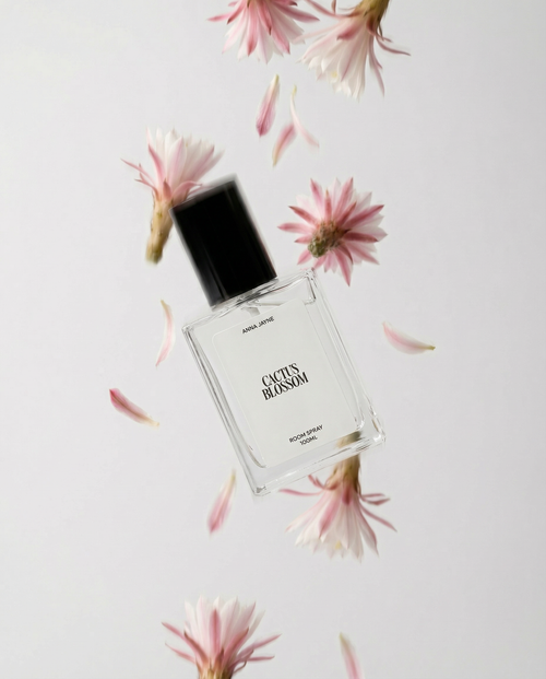 Cactus Blossom